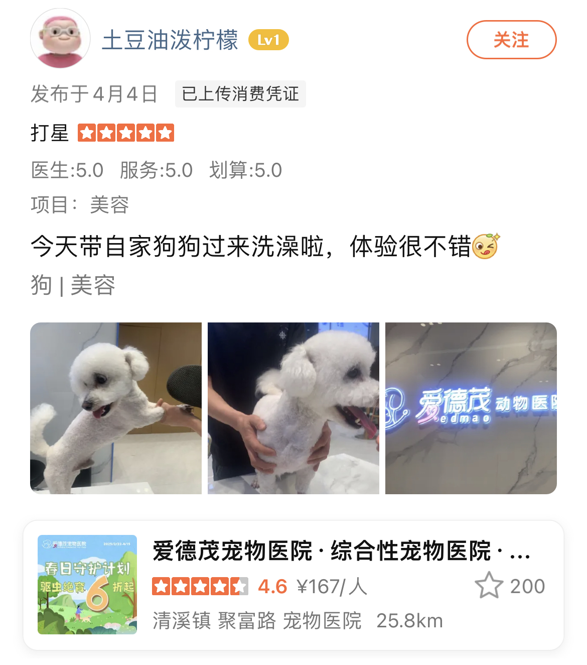 美容