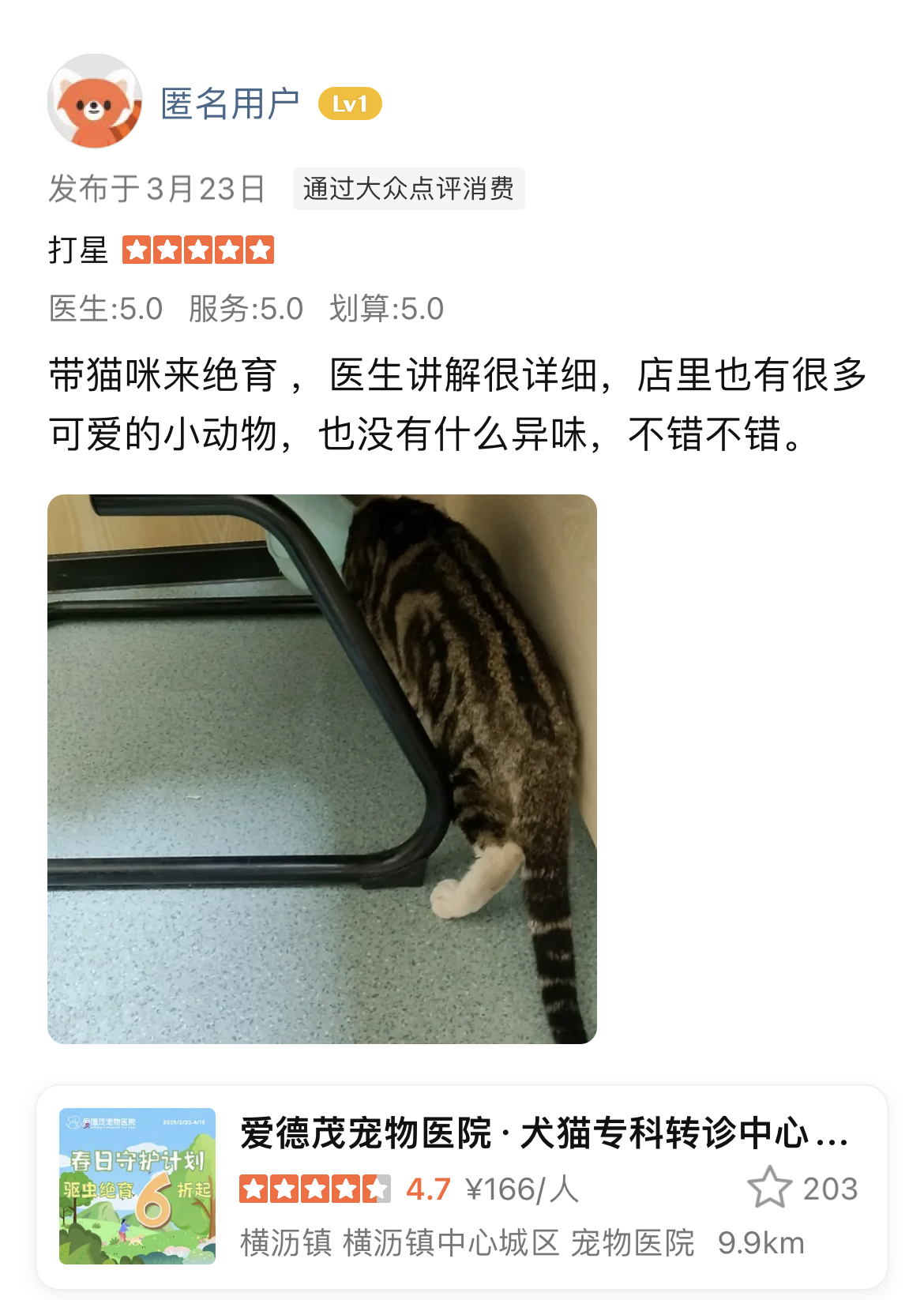 绝育