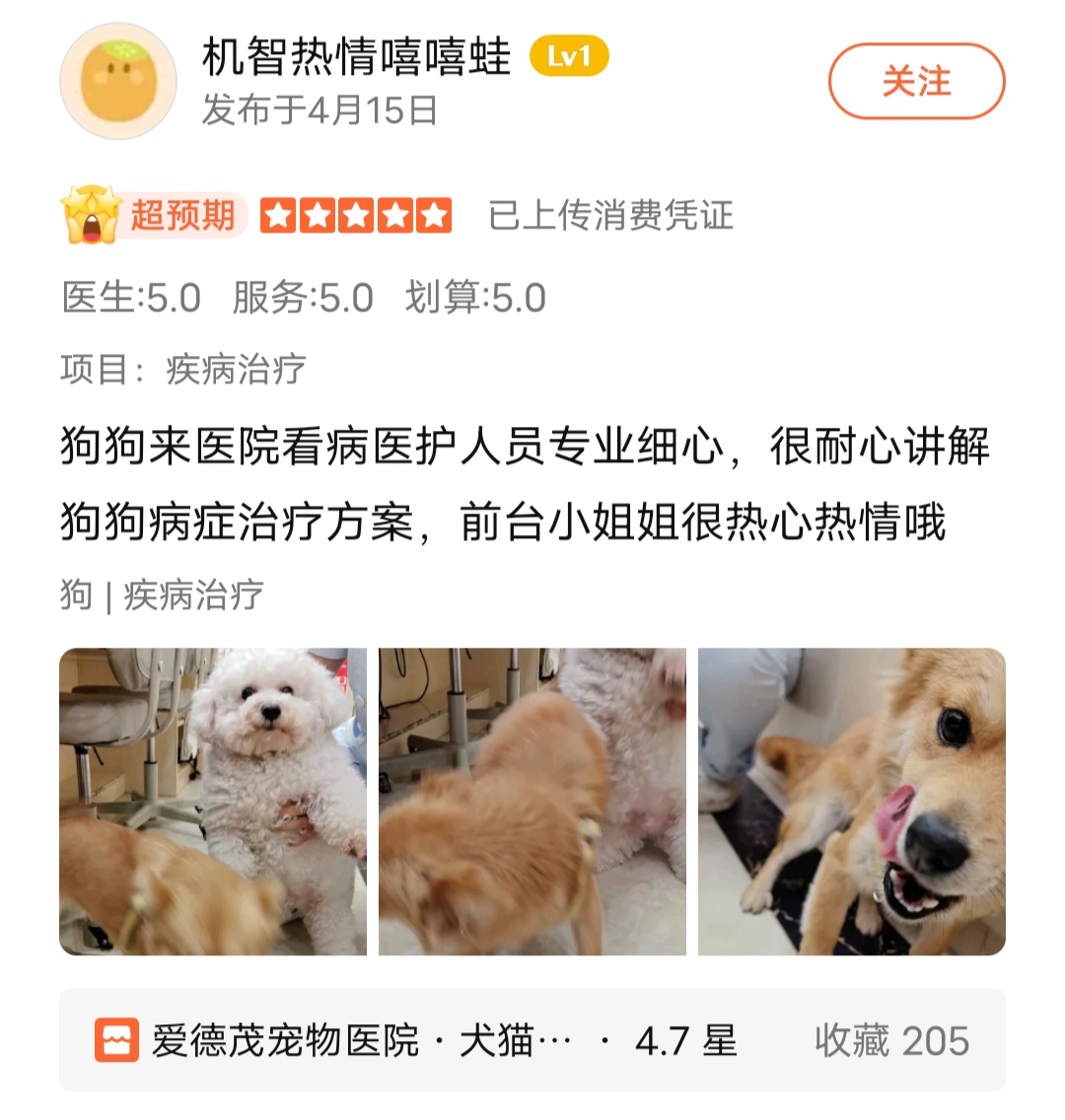 服务质量