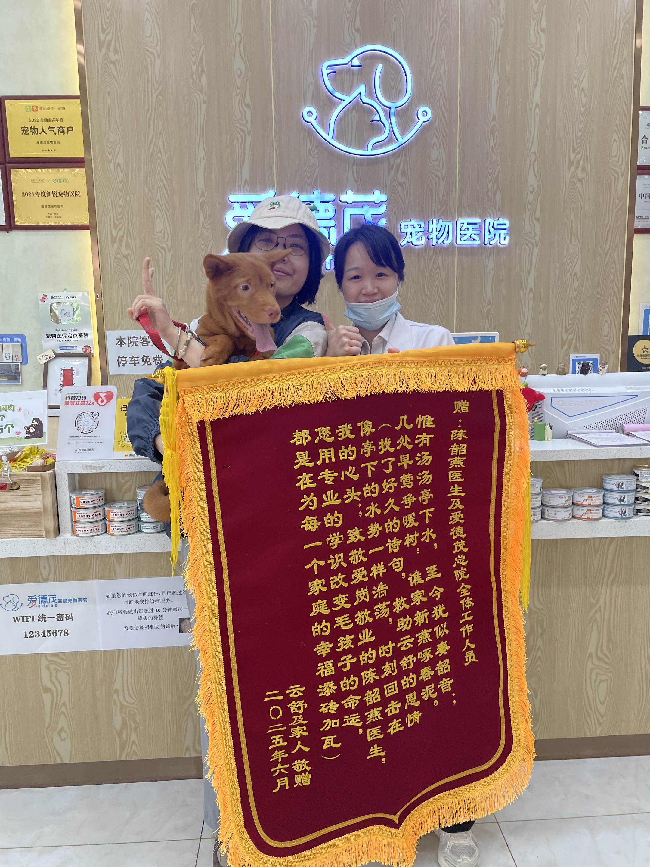 宠友口碑