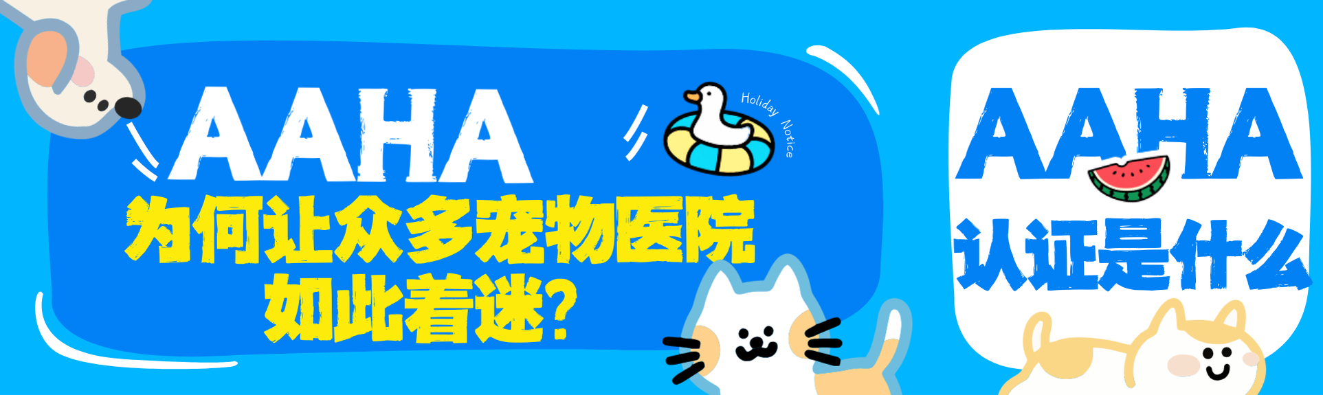 AAHA认证—为何让众多宠物医院如此着迷