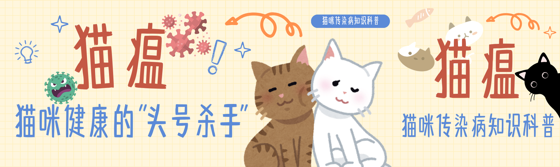 猫瘟|猫咪健康的头号杀手