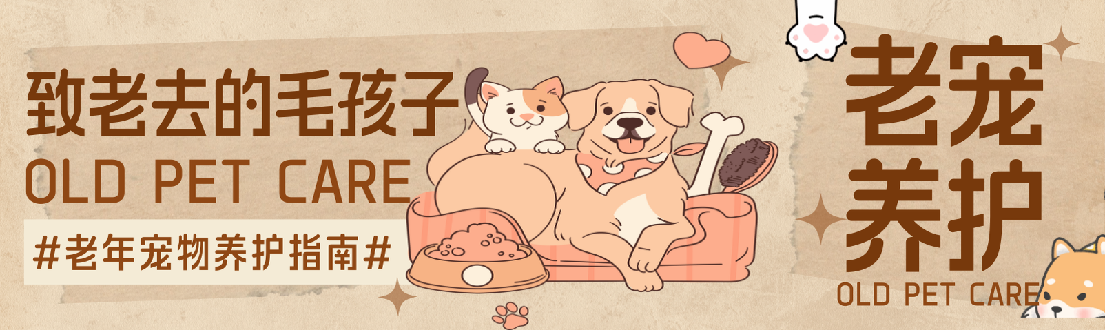 老年宠物养护指南
