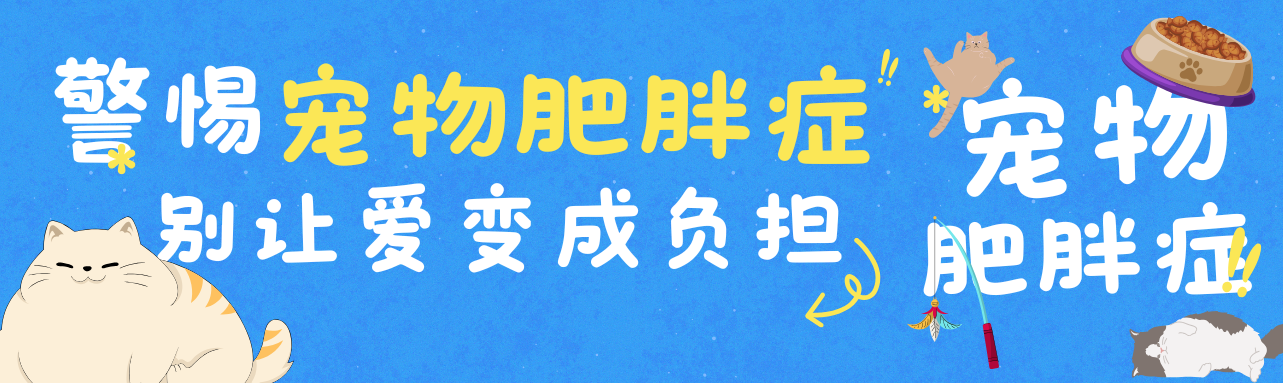 警惕宠物肥胖症