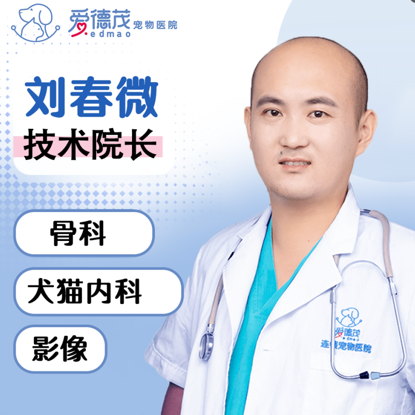 技术院长 - 刘春微