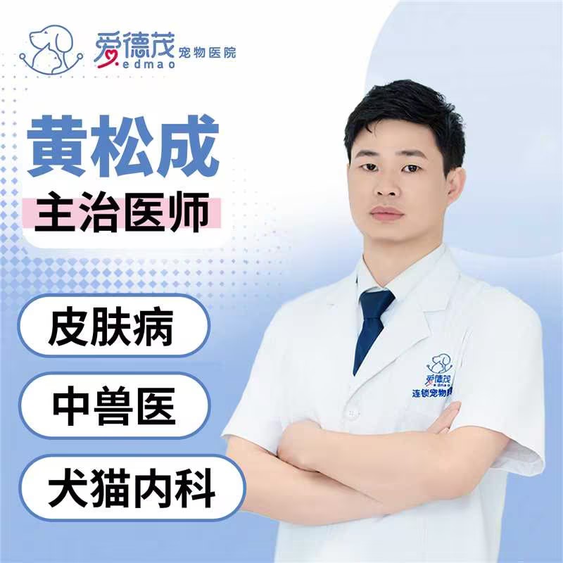 主治医生-黄松成