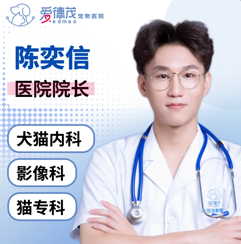 技术院长 - 陈奕信