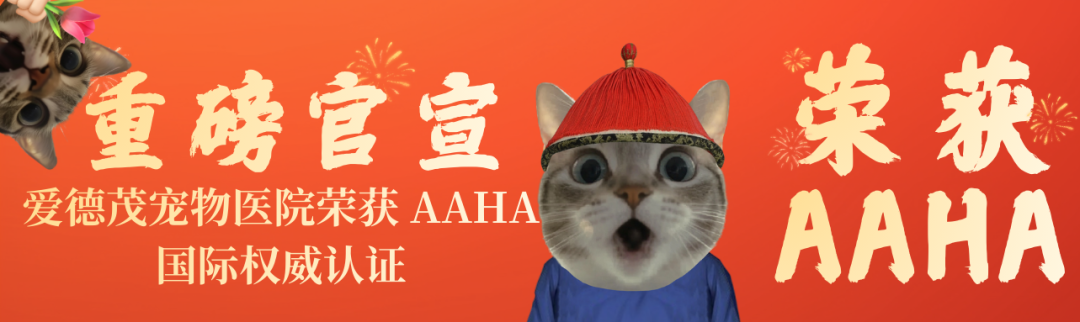 重磅官宣，东莞首批！｜爱德茂宠物医院荣获 AAHA 国际权威认证!!!