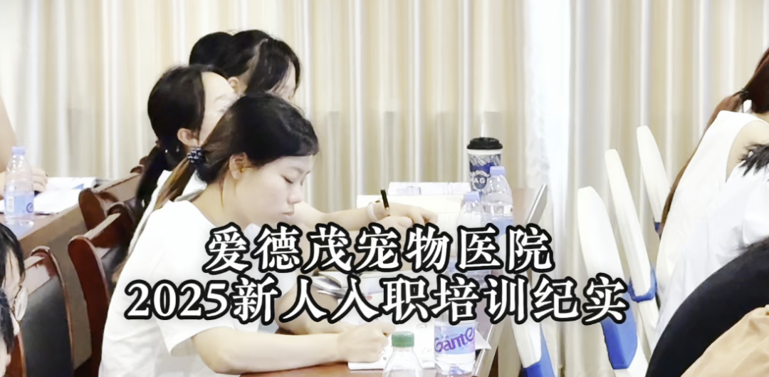爱德茂宠物医院实习生培训圆满落幕