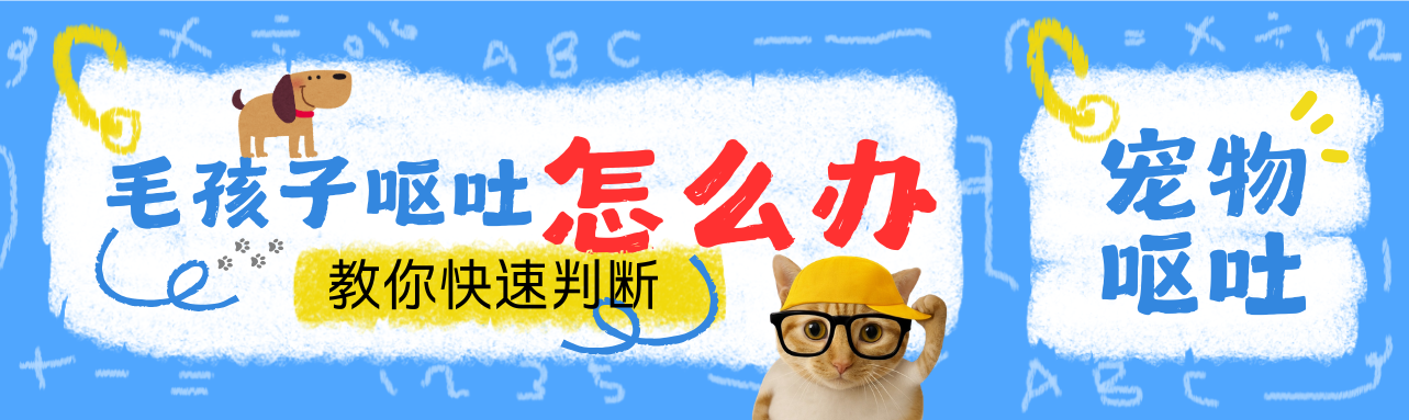 毛孩子呕吐怎么办？