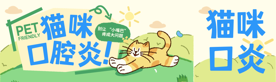 猫咪口炎