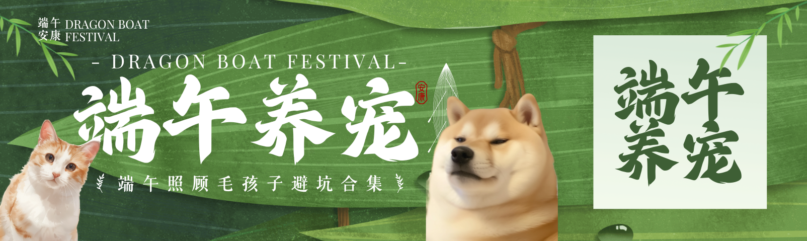端午养宠养宠须知：守护毛孩子平安过节