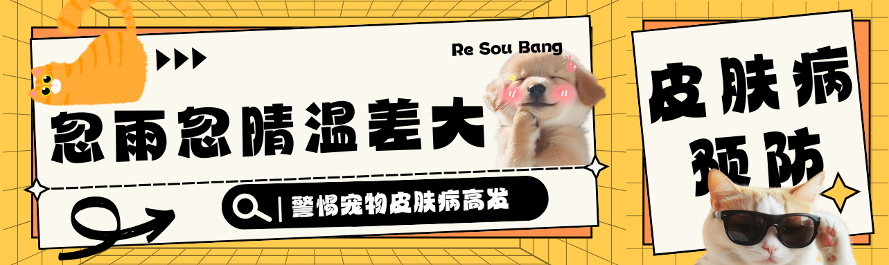 警惕宠物皮肤病