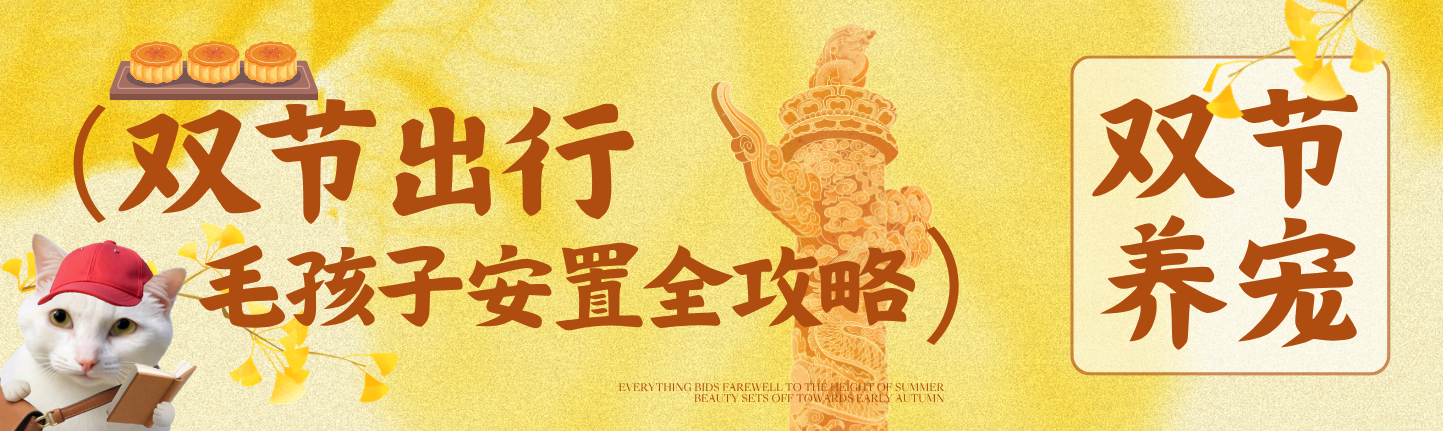 双节出行 | 毛孩子安置全攻略