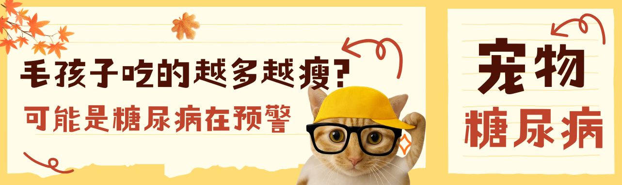 别忽视宠物糖尿病的预警